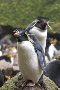 antartica.gov.au